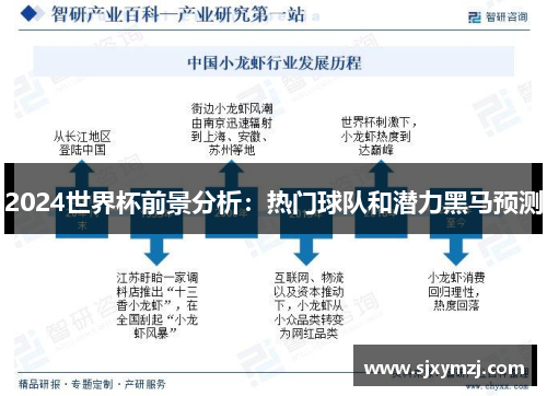 2024世界杯前景分析：热门球队和潜力黑马预测