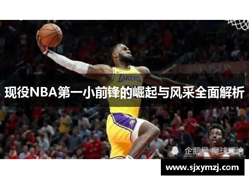 现役NBA第一小前锋的崛起与风采全面解析